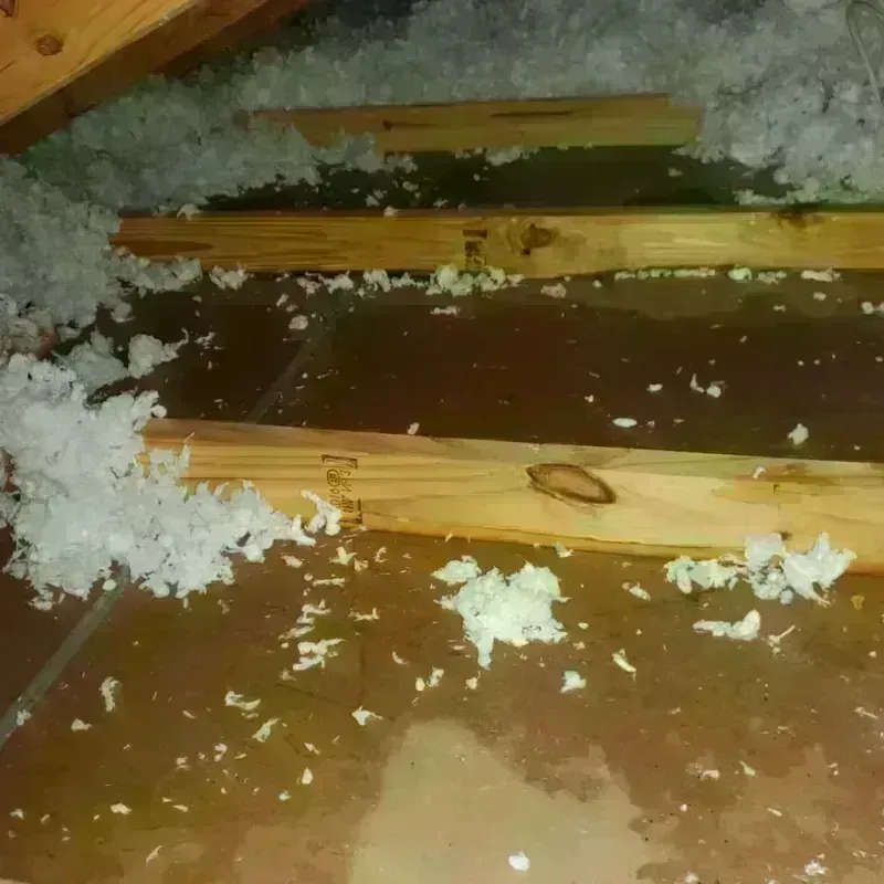 Attic Water Damage in Inman, KS