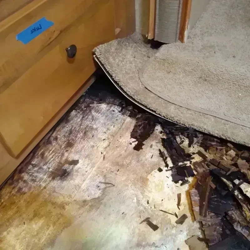 Best Wood Floor Water Damage Service in Inman, KS